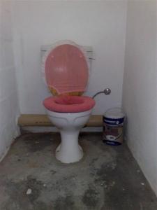 PINK toilet seat cover